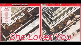 SHE LOVES YOU The BEATLES [upl. by Neelyar181]