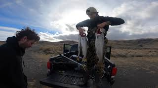 Fishing Pyramid Lake Nevada  Lahontan Cutthroat Trout [upl. by Mohammed846]