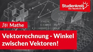 Vektorrechnung  Winkel zwischen Vektoren  Mathe verstehen mit dem Studienkreis [upl. by Vincenty]