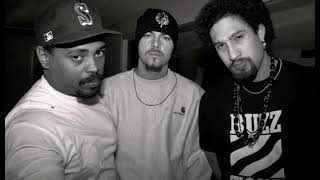 Cypress Hill X New School Type Freestyle Beat  quotBUZZquot [upl. by Iffar838]