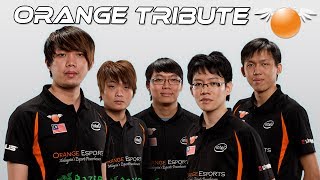 Dota 2  A Tribute to Team Orange [upl. by Viddah588]