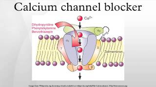 Calcium channel blocker [upl. by Dahle]