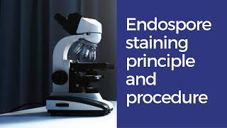 Spores Staining Endospore staining How to do endospore staining principle of endospore staining [upl. by Ahsinehs88]