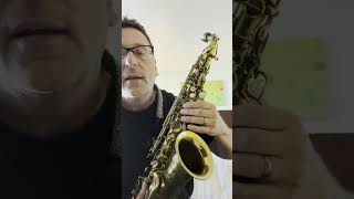 Behold the Super Artiste Pierret Alto Saxophone [upl. by Elrebmik]