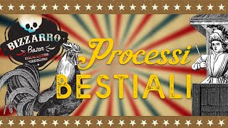 Processi Bestiali  BIZZARRO BAZAR S01E01 [upl. by Idden137]