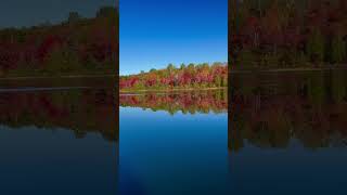 canoeing fall colors lake canada northernontario [upl. by Malamut156]