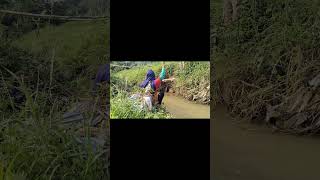 Mancing wader sensasijoranwader joran melengkung viral [upl. by Dygall738]