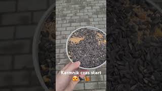 Karmnik Tomka Czas start 😍🐦‍⬛🐿 [upl. by Notgnirrac551]