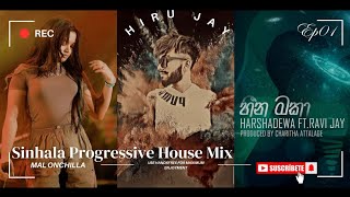 🎋 Sinhala Progressive House Mix  Hiru Jay Mixtapes Mal Onchilla amp Heena Maka  2024 [upl. by Heuser221]