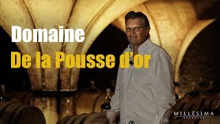 DOMAINE DE LA POUSSE DOR  BOURGOGNE  MILLESIMA [upl. by Carrington]