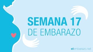 Semana 17 de embarazo  17 semanas de embarazo  El embarazo semana a semana [upl. by Imray]