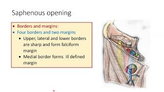 SAPHENOUS OPENING Lower Limb [upl. by Nnelg]