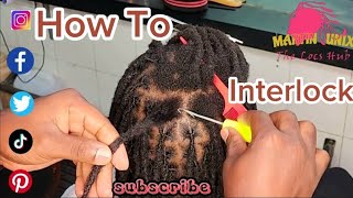 Mastering How to Interlock Dreadlocks as a way of Maintenence [upl. by Eciened]