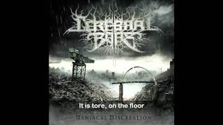 CEREBRAL BORE quotThe Bald Cadaverquot HD with lyrics [upl. by Ortrude]