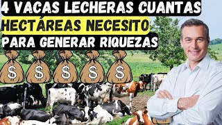 4 vacas lecheras cuantas hectáreas necesito PARA GENERAR RIQUEZAS [upl. by Zaid547]