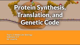 Protein Synthesis Translation and Genetic Code  IB Biology Topic 2  Molecular Biology [upl. by Vasilis]