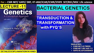 TRANSDUCTION amp TRANSFORMATIONBACTERIAL GENETICSCSIRNET JRF GATE XL INHERITANCE BIOLOGY [upl. by Mitchiner]