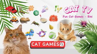 CAT GAMES 📺Ultimate CATS TV Compilation 🐠😻🦂 11 HOURS  NO ADS 🐜🐀🐁🦟🦜🐠🐞⚽🐛🕷 [upl. by Lucinda]