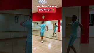 Papagei papagei paolomarincolo dance ballidigruppo 2024 perte [upl. by Tenaej]