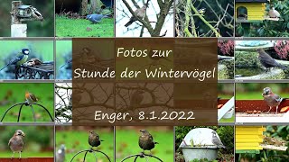 Stunde der Wintervögel [upl. by Eppillihp]