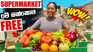 මෙච්චර බඩු ගොඩක් FREE ගන්නෙ කොහොමද 💰  SUPERMARKET  Binario12 [upl. by Elinore]