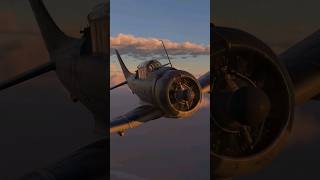 The SBD Dauntless Dive Bomber One of the US Navys many recognizable aircraft [upl. by Aidile110]