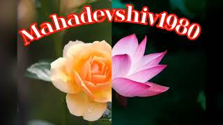 Mahadevshiv1980 is live [upl. by Sahc87]