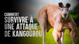 Comment survivre à une attaque de kangourou [upl. by Yentrok887]