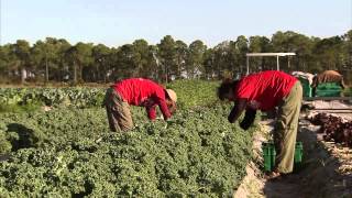 What is crop rotation  quotAgriculture 101 Americas Heartlandquot [upl. by Lebiram]