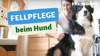 Fellpflege Hund I FRESSNAPF [upl. by Siffre]