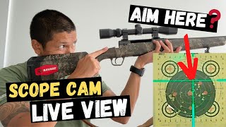 How To Bore Sight A Rifle At Home amp Save Ammo At The Range  10 Yard Bore Sight For 100 Yards [upl. by Anstice740]