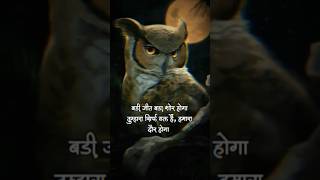 Owl Attitude Shayari ☠️ 🔥 whatsapp status 🤟 shayari status 🔥💯 shorts motivation [upl. by Retxed403]