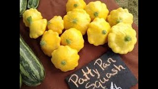 💥 Roasted Patty Pan Squash amp Zippy Butter Beans 💥 [upl. by Ailalue]