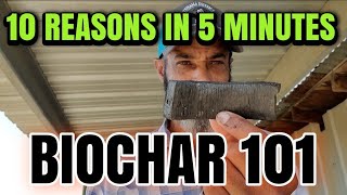 10 reasons why YOU need BIOCHAR Explained in 5 MINUTES [upl. by Orman493]