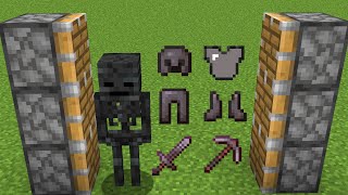 nether skeleton  netherite armor [upl. by Asemaj]