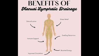 Lymphatic Drainage for Fat Loss Cellulite Brain Fog Gut Issues amp More  Love Your Lymph [upl. by Sucramel]