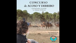 I CONCURSO BENEFICO DE ACOSO Y DERRIBO CAMINA CON LOLA 2021 [upl. by Emmons703]