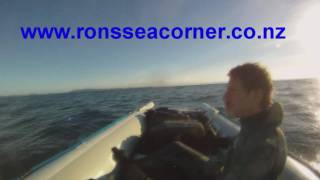 Cuvier spearfishing trip 2011 [upl. by Odlavso81]