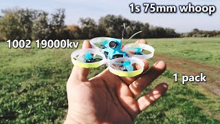 1s 75mm whoop  1002 19000kv  one pack flying [upl. by Mohr]