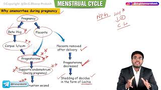 Menstrual Cycle  Part 2   Obstetrics and Gynecology Lectures 20 🌸👩‍⚕️🔬 [upl. by Ivzt]