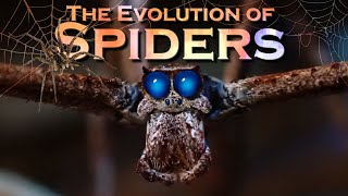 EVOLUTION of SPIDERS [upl. by Yrekaz]