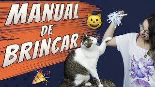 Manual para Brincar com Seu Gato [upl. by Adok778]