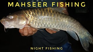 Amazing Handline fishing and caught one MAHSEER FISH 🐟🐠  Night fishing  MAHSEER FISHING 🎣 [upl. by Kucik]