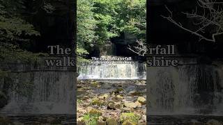 One of the easiest waterfall walks in the Yorkshire Dales 🙌❤️ shorts travel [upl. by Ban]