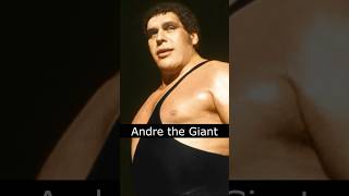 The Life and Death of Andre the Giant [upl. by Somerset]