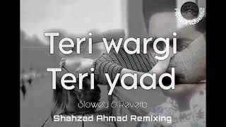 TERE WARGI A BILKUL TERI YAAD VRimix BY SHAHZAD AHMADREVERBShahzadedits1m [upl. by Fullerton]