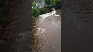 Hillsborough waterwaysfalls river Countryside FamilyLove Outdoors Memories Yorkshire Peaceful [upl. by Gaye81]