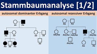 Stammbaumanalyse 12  autosomal dominante bzw rezessive Erbgänge Biologie Oberstufe Genetik [upl. by Nawak]