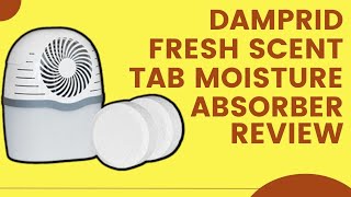 DampRid Fresh Scent Dropin Tab Moisture Absorber [upl. by Anerev]