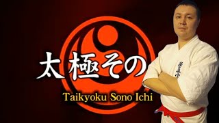 Taikyoku Sono Ichi Тайкиоку Соно Ичи ката каратэ киокушинкай experience karate [upl. by Htrag]